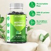 Moringa 100mg (50:1 Extract), Natural Mixed Fruit Flavor, 60 Gummies - 4 of 4