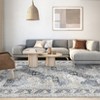 9x12 Rug Machine Washable Rugs for Living Room Vintage Rug Non Slip Rug Foldable Low Pile Rugs Oriental Accent Carpet - 3 of 4