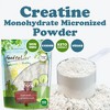 Creatine Monohydrate Micronized Powder – by Food to Live - 3 of 4
