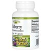 Natural Factors Bilberry, 40 mg, 60 Capsules - 3 of 3