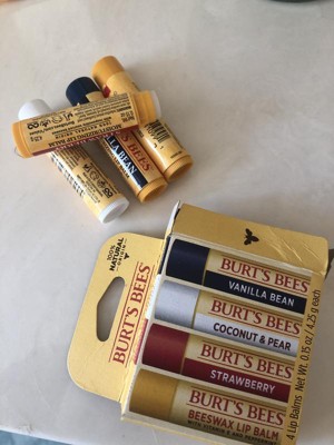 Burt's Bees Freshly Picked Lip Balm - 4pk : Target