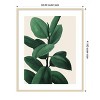 Amanti Art Jeweled Ficus I by Grace Popp Wood Framed Wall Art Print - 4 of 4