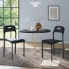 Dining Chairs Set of 1/2/4, Stackable Modern Kitchen Chairs,Plastic Dining Room Chair with Metal Legs - 3 of 4