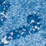 light blue/dark blue