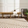 Hauteloom Leryn Brown Checkered Plush Rug - 2 of 4