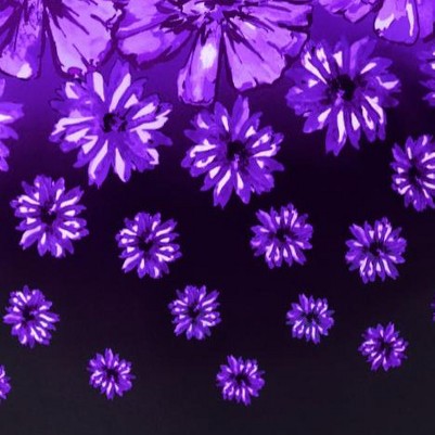 purple exploded