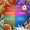 Air Wick Vibrant Scented Oil Air Freshener Refills - Warm Cashmere & Sandalwood - 1.34 fl oz/2pk - 4 of 4
