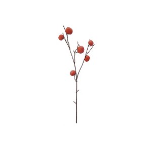 Storied Home Faux Persimmon Branch, Natural - 1 of 1