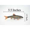 Collectible Wildlife Gifts | Fish, Japanese dace, Big-scaled redfin, Hand Painted, Rubber Fish, Realistic, Toy, Model, Gift,   5 1/2"   CH478 BB153 - 3 of 4
