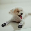 Unique Bargains Dog Cats Non-Slip Socks Bow Tie Pattern Paw Protection and Traction Black 4 Pcs - 4 of 4
