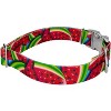 Country Brook Petz Premium Summer Melon Dog Collar - 3 of 4
