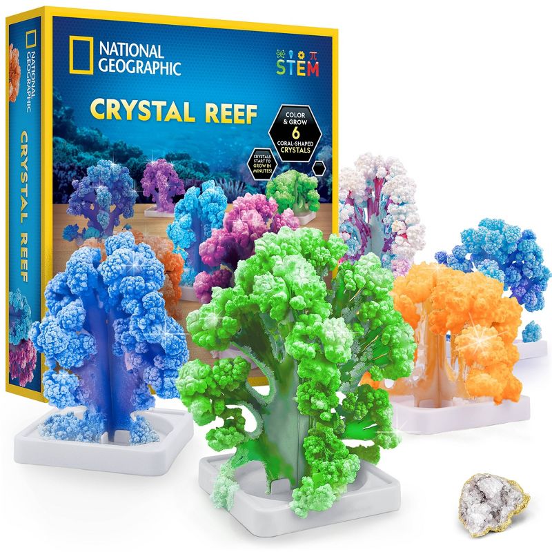 National Geographic Crystal Reef Science Kit, 3 of 9