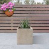 Rosemead Home & Garden, Inc. Kante  Square Concrete Indoor Planter Pots Beige 11.8" x 11.8" x 11.8" - 3 of 4