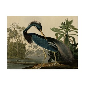 "Louisiana Heron" Outdoor Canvas - 1 of 4