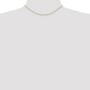 Black Bow Jewelry 1mm, 14k Yellow Gold, Solid Spiga Chain Necklace - 2 of 4