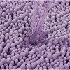 Home Mart Goods Large 2 Piece Set Lavender Soft Cozy Plush Chenille Bath Mat Bathroom Rug - 4 of 4