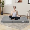 Sofa, Folding Sofa Bed, Foldable Couch  Bed with Pillow, Convertible Sleeper Chair Folding Sofa Mattress, Futon Floor Couch for Living Room/Bedroom - 4 of 4