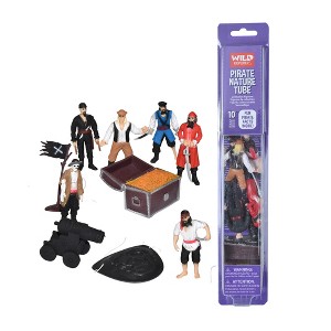 Wild Republic Nature Tube Pirate Figurines, 10 Pieces - 1 of 1