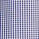 rich sapphire check
