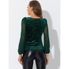 Allegra K Women's Glitter Star Pattern Velvet Mesh Sheer Long Sleeve Tops - 3 of 4