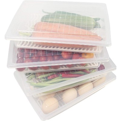Food Storage Container with Removable Drain Plate and Lid, Stackable Freezer Containers for Fruits, Vegetables, Meat (4, Large)