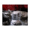 Trademark Fine Art - "Red Vison" Outdoor All-Weather Wall Decor - 2 of 4