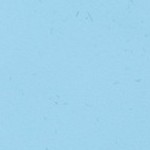 09005-carolina blue/navy