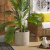 Braslen Concrete Ficonstone Planter - Indoor/Outdoor - PAT1516 - Sandy Beige - Safavieh - 2 of 4