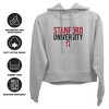 Stanford University Stacked Cropped Hoodie Pullover Sweatshirt - 3 of 4