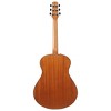 Ibanez AAM50OPN Advanced Auditorium Acoustic Guitar Open Pore Natural - 4 of 4