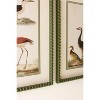 Birds Framed Wall Art Set – 21"H Wood & Glass Printed Bird Illustrations with Light Mattes (Set of 2) By Kalalou - 3 of 3