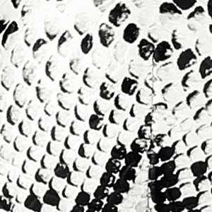 white snake