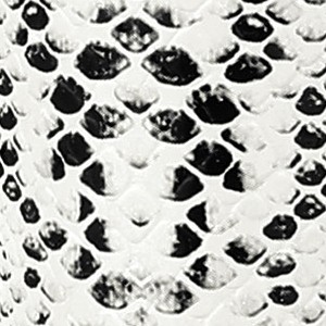 white snake