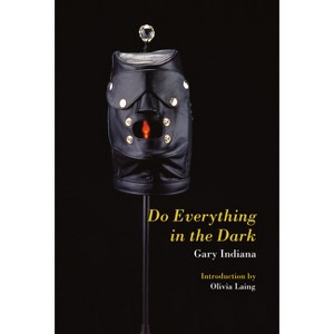 Do Everything in the Dark - by  Gary Indiana (Paperback) - 1 of 1