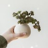 3"x 3.25" Turner Wide Round Decorative Cream Paper Mache Bud Vase - 2 of 4