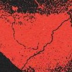 clear push pins bundle