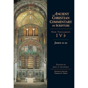 John 11-21 - (Ancient Christian Commentary on Scripture) by  Joel C Elowsky & Thomas C Oden (Hardcover) - 1 of 1