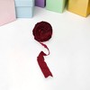 Unique Bargains Ribbon Bubble Crinkle Polyamide 354.33"x0.98" 1 Pc - 2 of 3