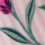tulip stripe pink