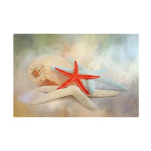 Trademark Fine Art -Jai Johnson 'Gifts From The Sea' Canvas Art - 1 of 4