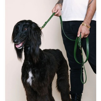 Diphda Cactus Leather Leash -  Olive
