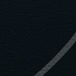 c.j. gardner-johnson