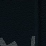 c.j. gardner-johnson