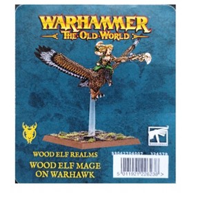 Wood Elf Mage On Warhawk Wood Elf Realms Warhammer Old World - 1 of 1
