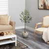 Nearly Natural 50-in Olive Artificial Tree in Sand Colored Planter - 4 of 4