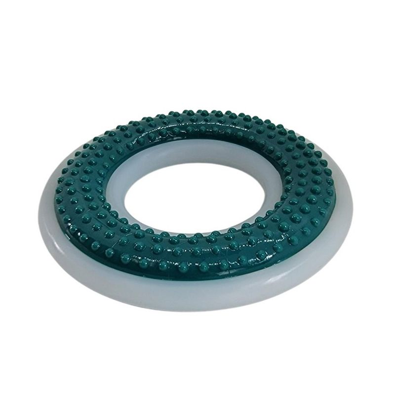 American Pet Supplies Nylon/TPR Dental Dog Chew Ring – 4" Diameter for Oral Care, 3 of 5