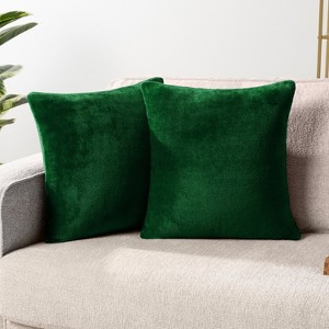 PAVILIA Set of 2 Throw Pillow Covers, Decorative Velvet Square Cushion Cases for Bed Sofa Couch Bedroom Living Room - 1 of 4