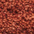 rust
