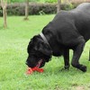 Wonder Meadow - Durable Chew Toy For Aggressive Dogs - 2 of 4