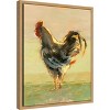 Amanti Art Sunlit Rooster II by Ethan Harper Canvas Wall Art Print Framed 16 x 20-in. - 3 of 4
